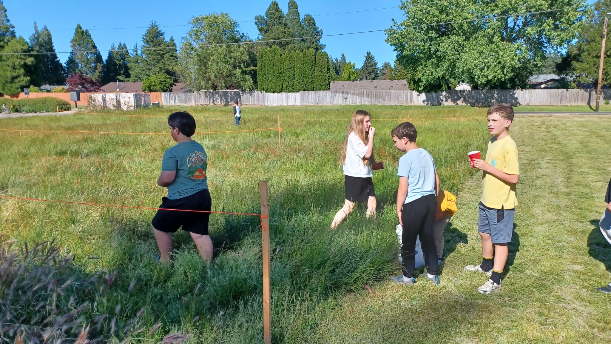 Keizer scouts plant native flowers by church - Keizertimes
